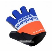 2012 Rabobank Gants Ete Ciclismo